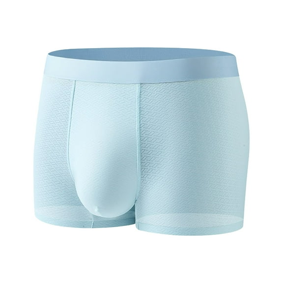 IWRICH Men's Incontinence Underwear Leakproof Boxer Briefs for Bladder Control Regular Absorbency Modal Panties Blue M