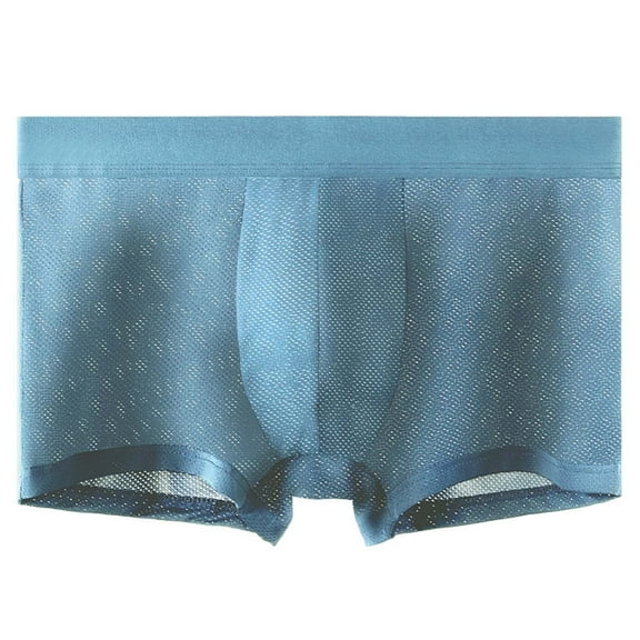 IWRICH Men's Mesh Boxer Briefs Breathable Low Waist Underwear Ice Silk Underpants Light Blue L