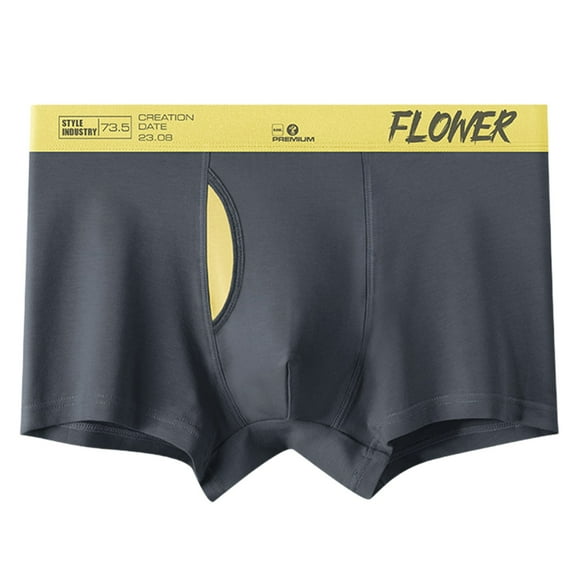 IWRICH Men's Soft Stretch Underwear Silky Comfortable Boxer Briefs Fashion Shorts Dark Gray XXXL