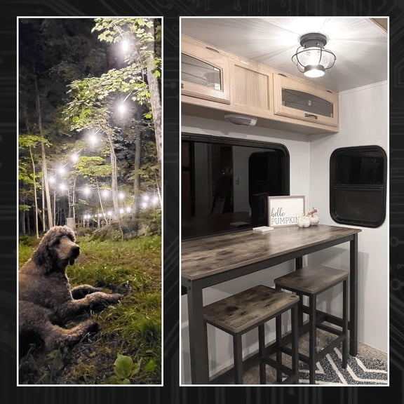 IYFFDFE-12 Volt 24V Low Voltage E26 Medium Screw Base LED Bulbs 6000K Daylight White 10W Equivalent 100 Watt Bulb AC12-36V/DC10-48V for RV Camper Landscape Off Grid Solar Lighting,1000lm,3 Pack