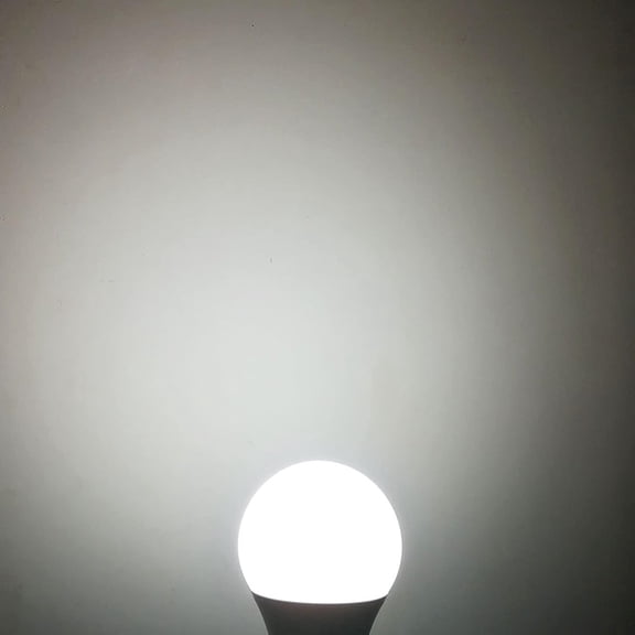 IYFFDFE-12V Light Bulb A19 7W Cold White 6000K E26 Screw Base 12v led Bulb DC 12 Volt 24v 36v 48v Low Voltage Lights for Solar Battery System,RV,Marine Boat,Off Grid Lighting(7W-6000K-4 Pack)