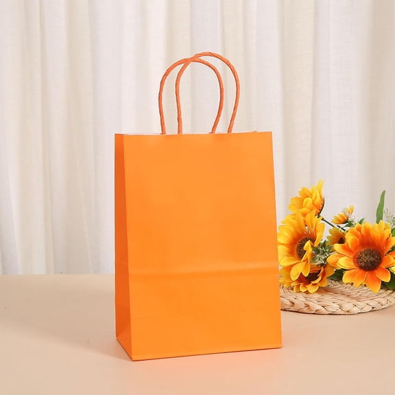 IYFFDFE-24pcs Orange Gift Bags with Handles,Small Paper Bags for Halloween Party Favors,Birthday,Wedding,Salmon Treat Bag Multiple Uses,Trick or Treat Bags Candy Bag