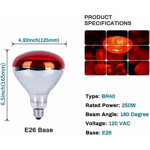 IYFFDFE-250 Watt Heat Lamp Bulbs for Chicks, R40 Brooder Heat Lamp for Chickens, Infrared Reflector Heat Bulbs for Brooder Heater, Incandescent Spotlight for Pet, Bathroom, Food (2 Pack)