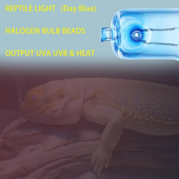 IYFFDFE-3 Pack UVA UVB Reptile Light Halogen Bulbs Beads Heat Lamp (50 Watt) Day Blue