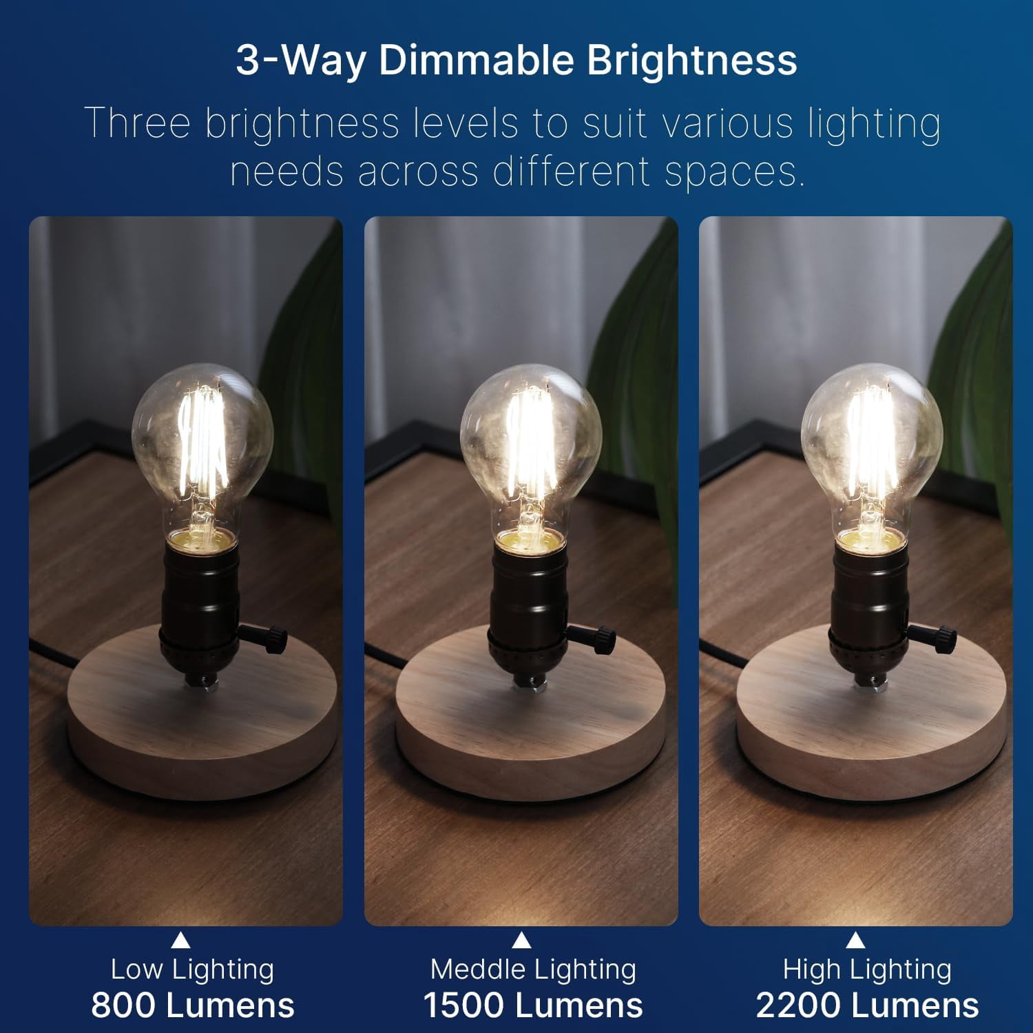 IYFFDFE-3 Way LED Light Bulb E26 Standard Base, 50W 100W 150W ...