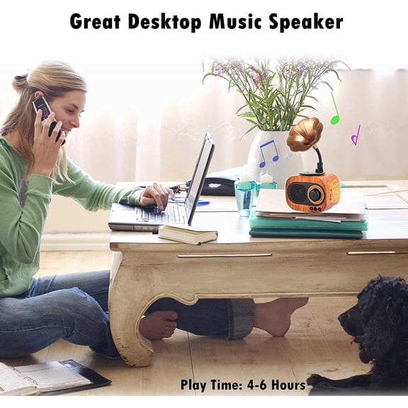 IYFFDFE-Retro Music Speaker Vintage Wireless Portable Outdoor Speakers Loud Stereo Sound Rechargeable Speaker Built in Mic Support Answering Calls USB TF Card AUX for Home Party Office