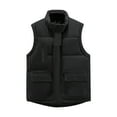 thumbnail image 1 of IYTR Men's New Warm Vest Sleeveless Jacket Zipper Stand-up Collar Coat Loose And Versatile Windproof Vest Jacket with Pocket Solid Color Black L, 1 of 3