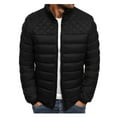 thumbnail image 1 of IYTR Mens Winter Jacket Solid Color Comfy Keep Warm Down Jacket with Pocket Long Sleeve Jacket Zipper Stand-Up Collar Black L, 1 of 5