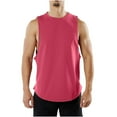 thumbnail image 1 of IYTR Summer Sleeveless Vest For Men Casual Comfy Summer Solid Color Sleeveless T Shirts Round Neck Lightweight Athletic Fitness Tank Tops Red XXL, 1 of 5