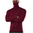 thumbnail image 1 of IYTR Sweaters For Men Pullovers High Neck Solid Color Slim New Warm Bottoming Sweaters Long Sleeve Sweater Red XL, 1 of 5