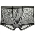 thumbnail image 1 of IYTR Ultra-thin Mesh Underpants Mens Boxer Briefs Solid Color Briefs Mid Waist Briefs Black M, 1 of 1
