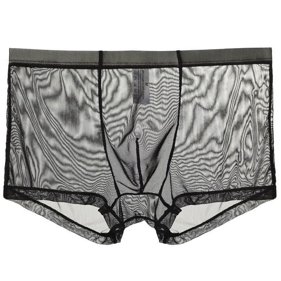 IYTR Ultra-thin Mesh Underpants Mens Boxer Briefs Solid Color Briefs Mid Waist Briefs Black M