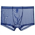 thumbnail image 1 of IYTR Ultra-thin Mesh Underpants Mens Boxer Briefs Solid Color Briefs Mid Waist Briefs Blue XL, 1 of 1