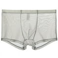 thumbnail image 1 of IYTR Ultra-thin Mesh Underpants Mens Boxer Briefs Solid Color Briefs Mid Waist Briefs Gray M, 1 of 1