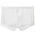 thumbnail image 1 of IYTR Ultra-thin Mesh Underpants Mens Boxer Briefs Solid Color Briefs Mid Waist Briefs White XXL, 1 of 1