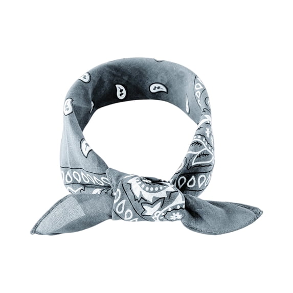 IYYVV Unisex Paisley Printed Scarf Fashion Comfortable Bandanas Soft Breathable Handband 19 Inches Gray