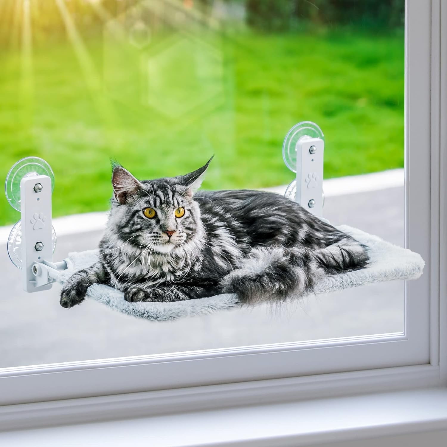 Cat window perch walmart canada sale