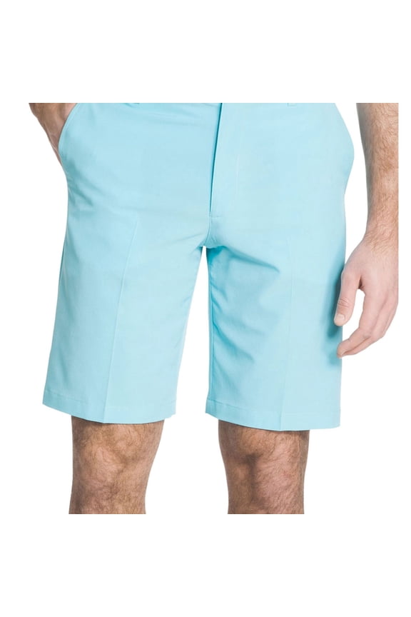 Mens Cotton Casual Walking Shorts, Blue, 30