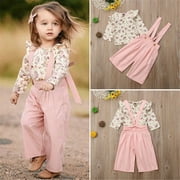 IZhansean Toddler Kids Baby Girls Autumn Outfits Clothes T-shirt Tops+Long Pants 2PCS Set Pink 3-4 Years