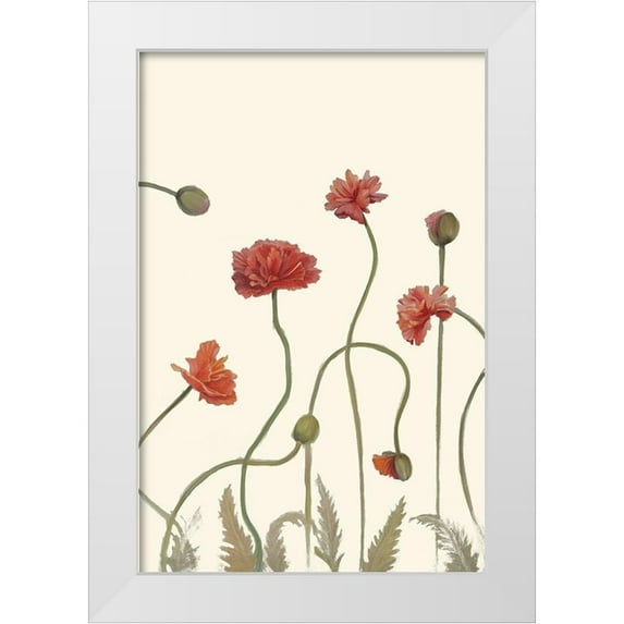 Iafrate, Sandra 17x24 White Modern Wood Framed Museum Art Print Titled - Coral Poppy Display III