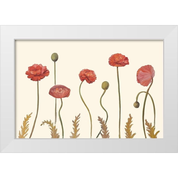 Iafrate, Sandra 18x13 White Modern Wood Framed Museum Art Print Titled - Coral Poppy Display I