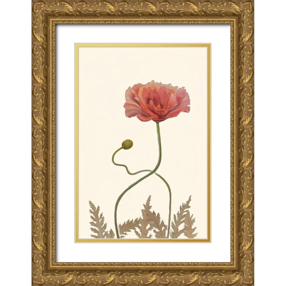 Iafrate, Sandra 23x32 Gold Ornate Wood Framed with Double Matting Museum Art Print Titled - Coral Poppy Display IV