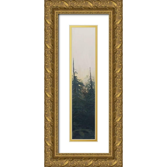 Iafrate, Sandra 7x18 Gold Ornate Wood Framed with Double Matting Museum Art Print Titled - Pacific Northwest Panel VI