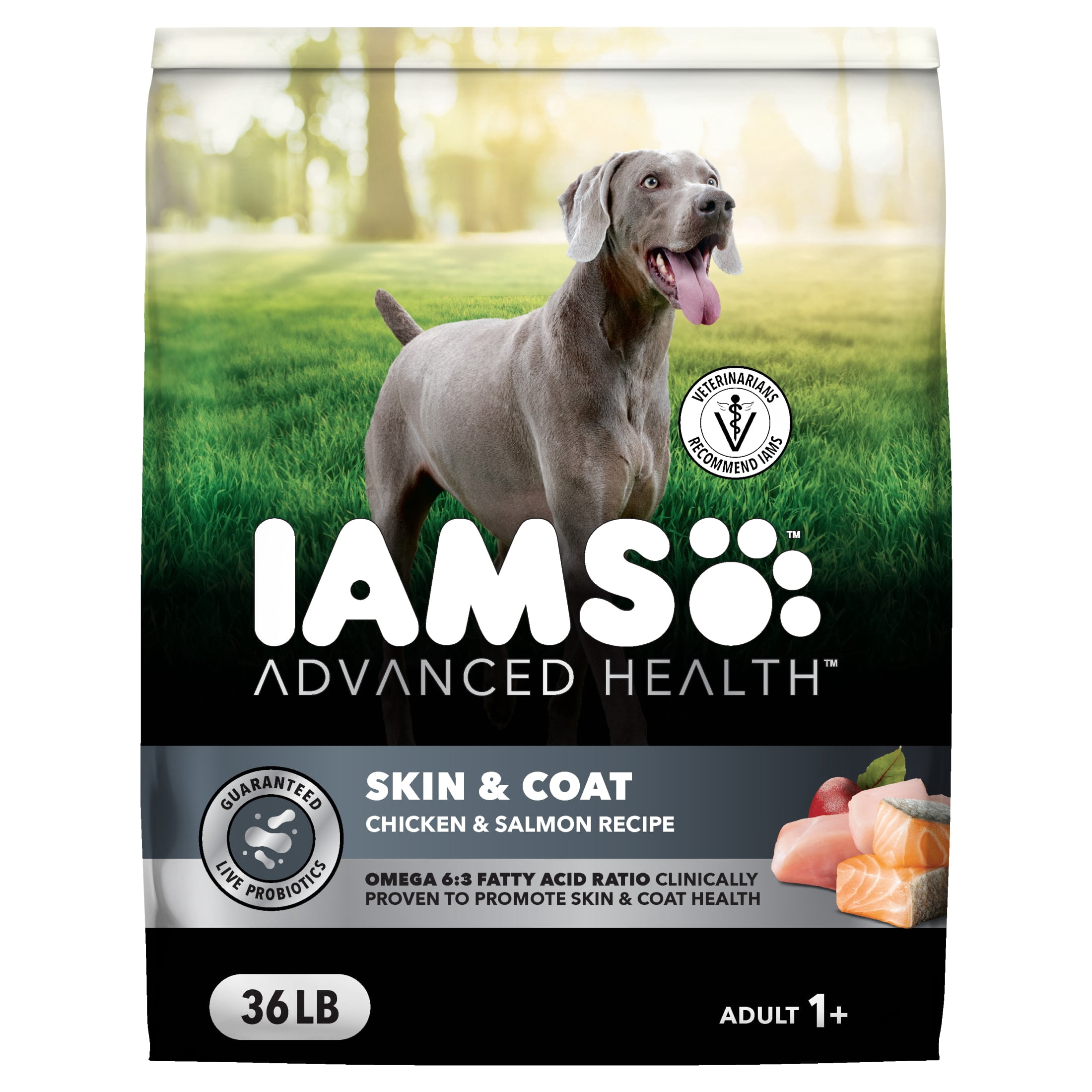 Iams Advanced Health Dry Dog Food, Skin & Coat Chicken and Salmon