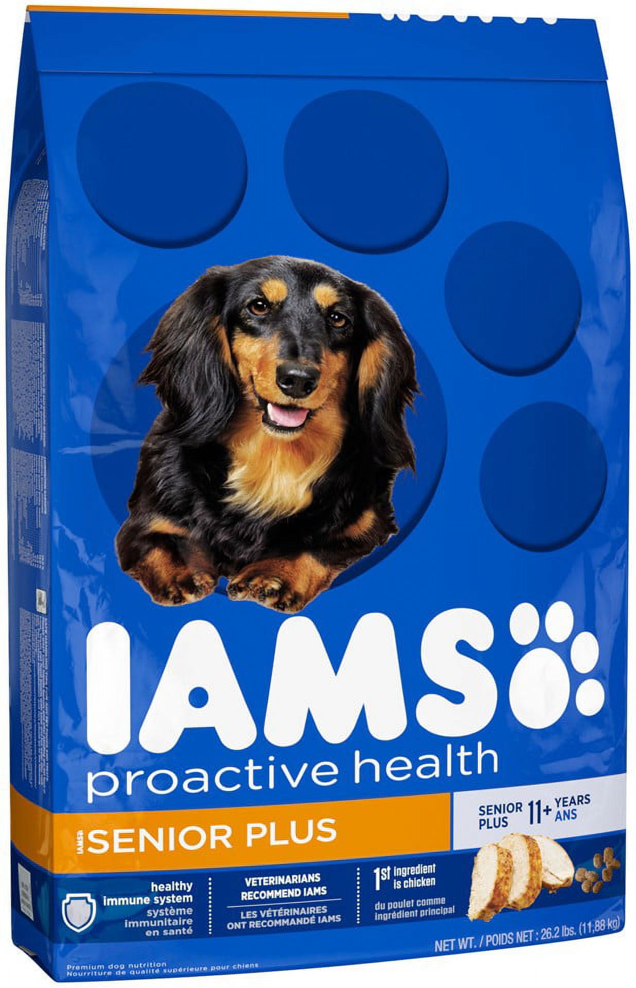 Iams proactive health senior plus dry dog food online