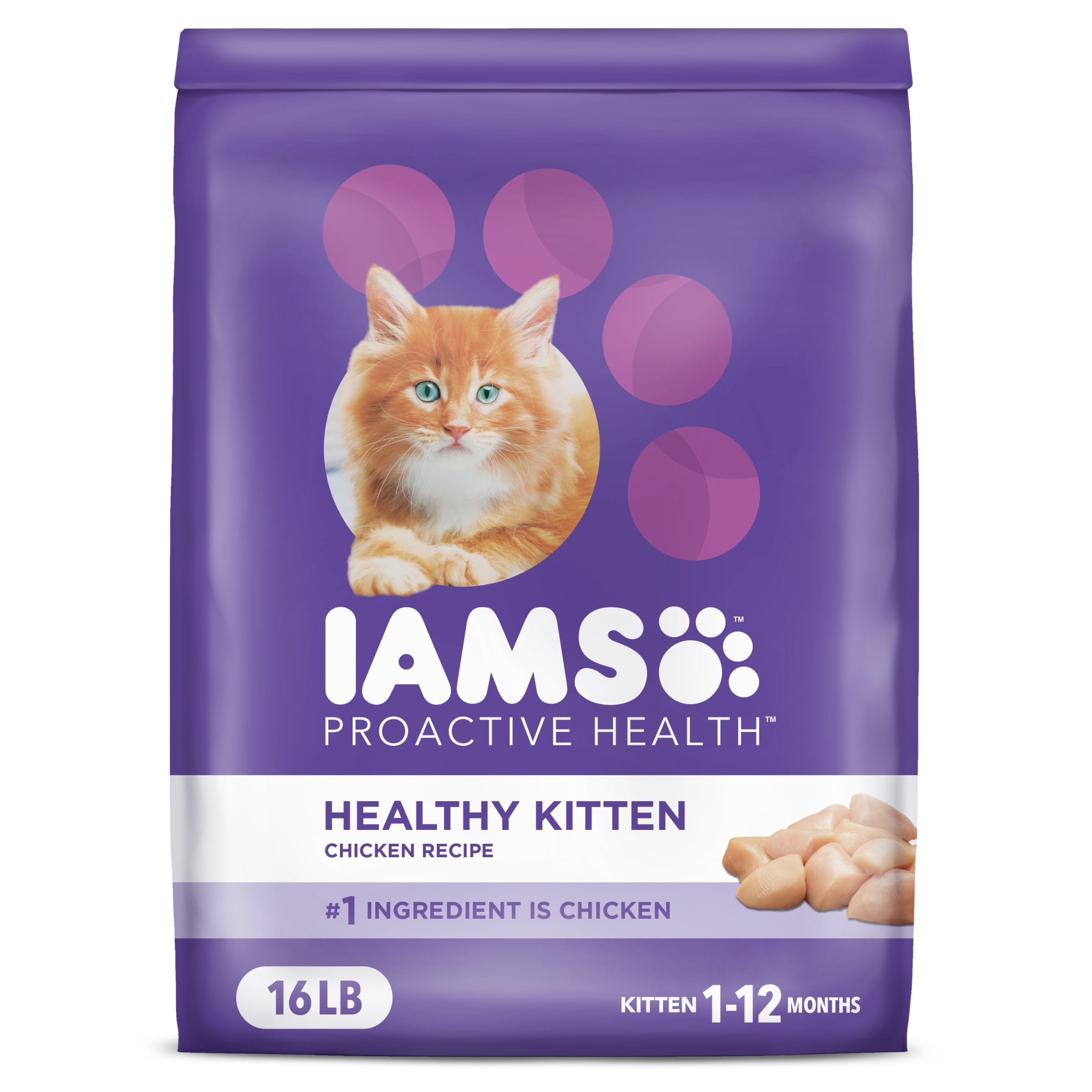 Iams ProActive Health Kitten Chicken Recipe Dry Cat Food Iams ProActive Health Kitten Chicken Recipe Dry Cat Food