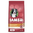 thumbnail image 1 of Iams Proactive Health Minichunks Dry Dog Food With Real Lamb & Rice, 7 Lb. Bag, 1 of 12