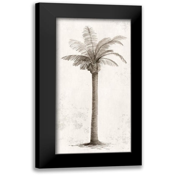 Ian C 14x24 Black Modern Framed Museum Art Print Titled - Vintage Palm Tree I