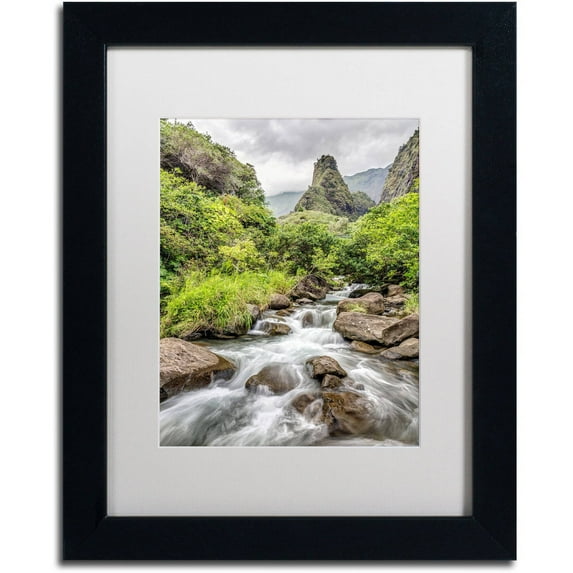 Iao Valley Maui' Canvas Art by Pierre Leclerc, White Matte, Black Frame