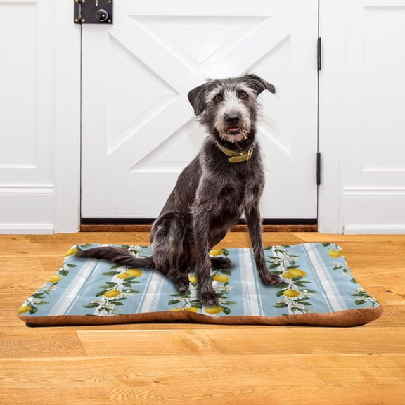 Iauyy 18x24inch Washable Dog Bed Mats, 4cm Thick Comfort Pet Bed with Non-Slip Bottom for Crates, Indoors & Outdoors - Puppy Essentials,A Lemon and Flowers