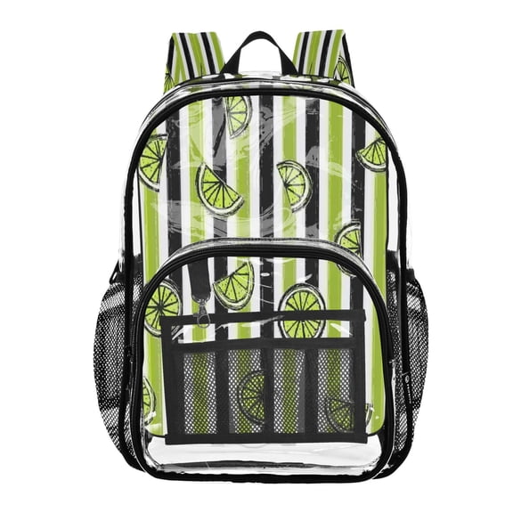 Iauyy Clear Backpack Heavy Duty PVC Transparent Backpack for College Workplace, Pale Green