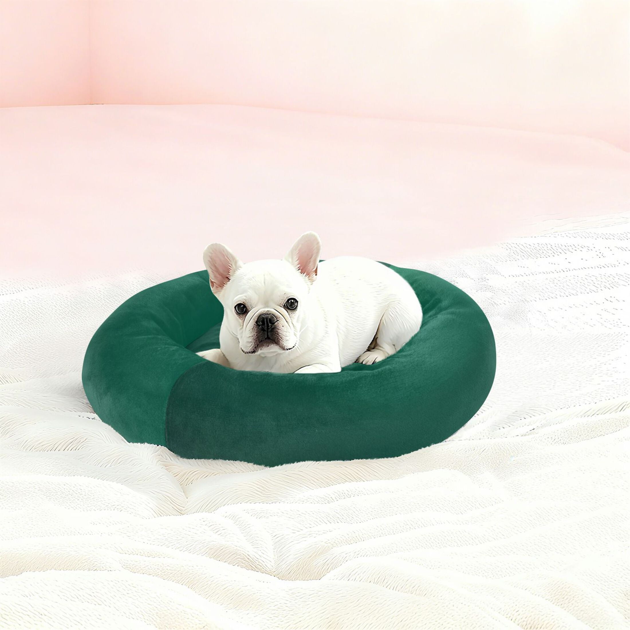 Iauyy Pet Couch Donut Cat Bed for Indoor Cats/Small Dogs Washable & Machine with Non-slip Bottom Calming Cat Furniture, Deep Forest Green Background (M)