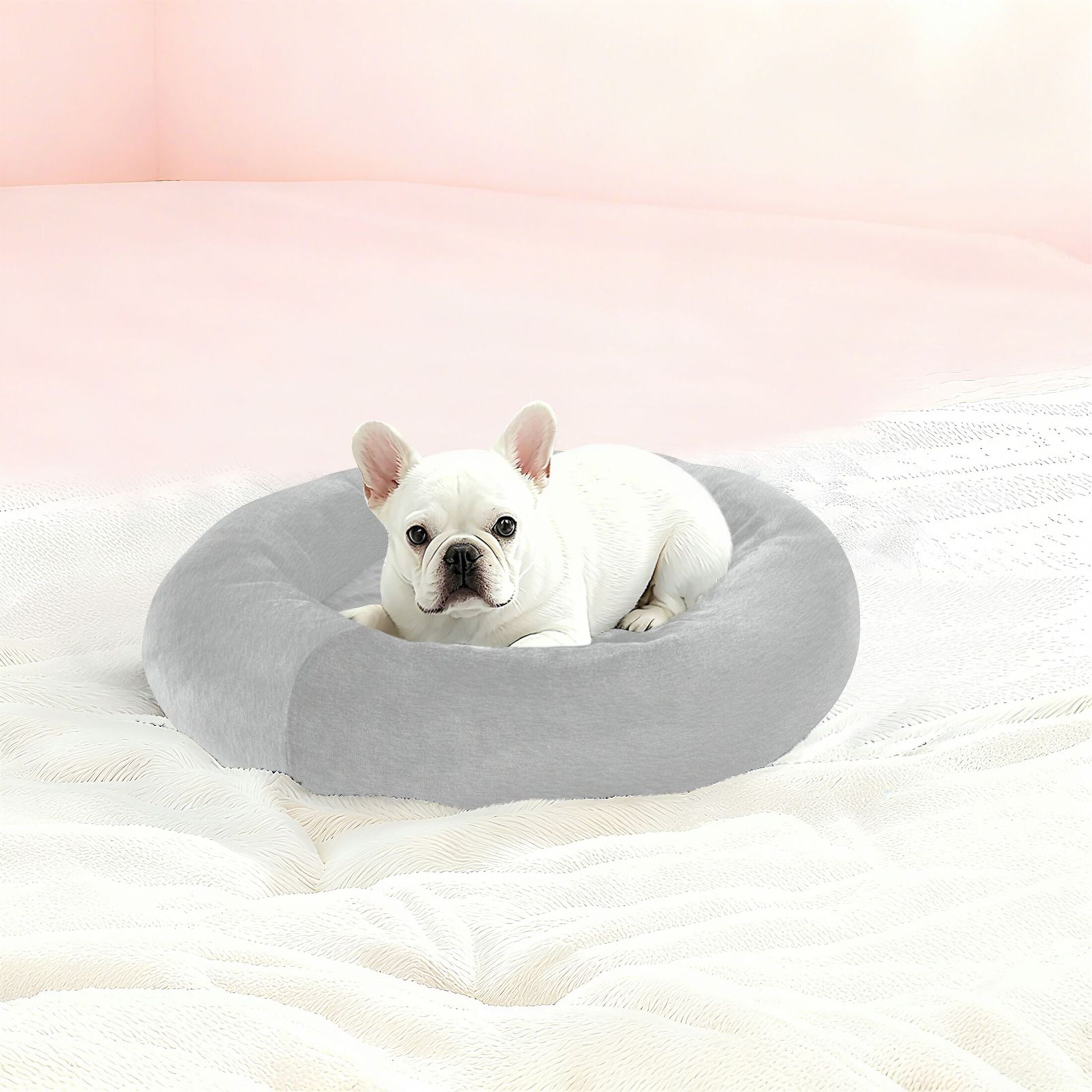 Iauyy Pet Couch Donut Cat Bed for Indoor Cats/Small Dogs Washable & Machine with Non-slip Bottom Calming Cat Furniture, The Overall Aesthetic Effect (M)