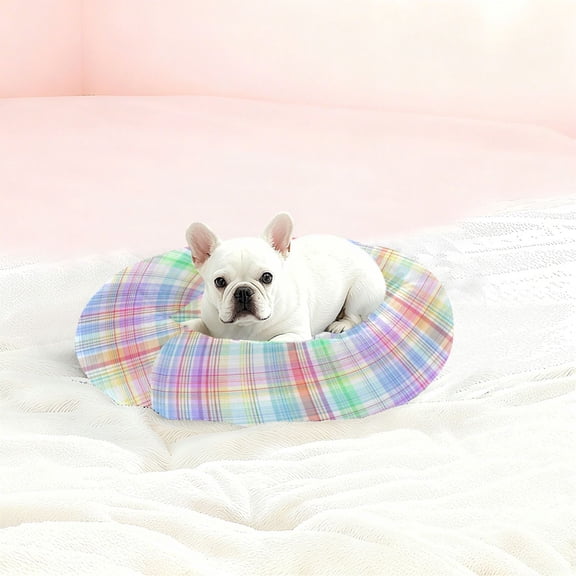 Iauyy Pet Couch Donut Cat Bed for Indoor Cats/Small Dogs Washable & Machine with Non-slip Bottom Calming Cat Furniture, Rainbow-colored Checkered (XS)