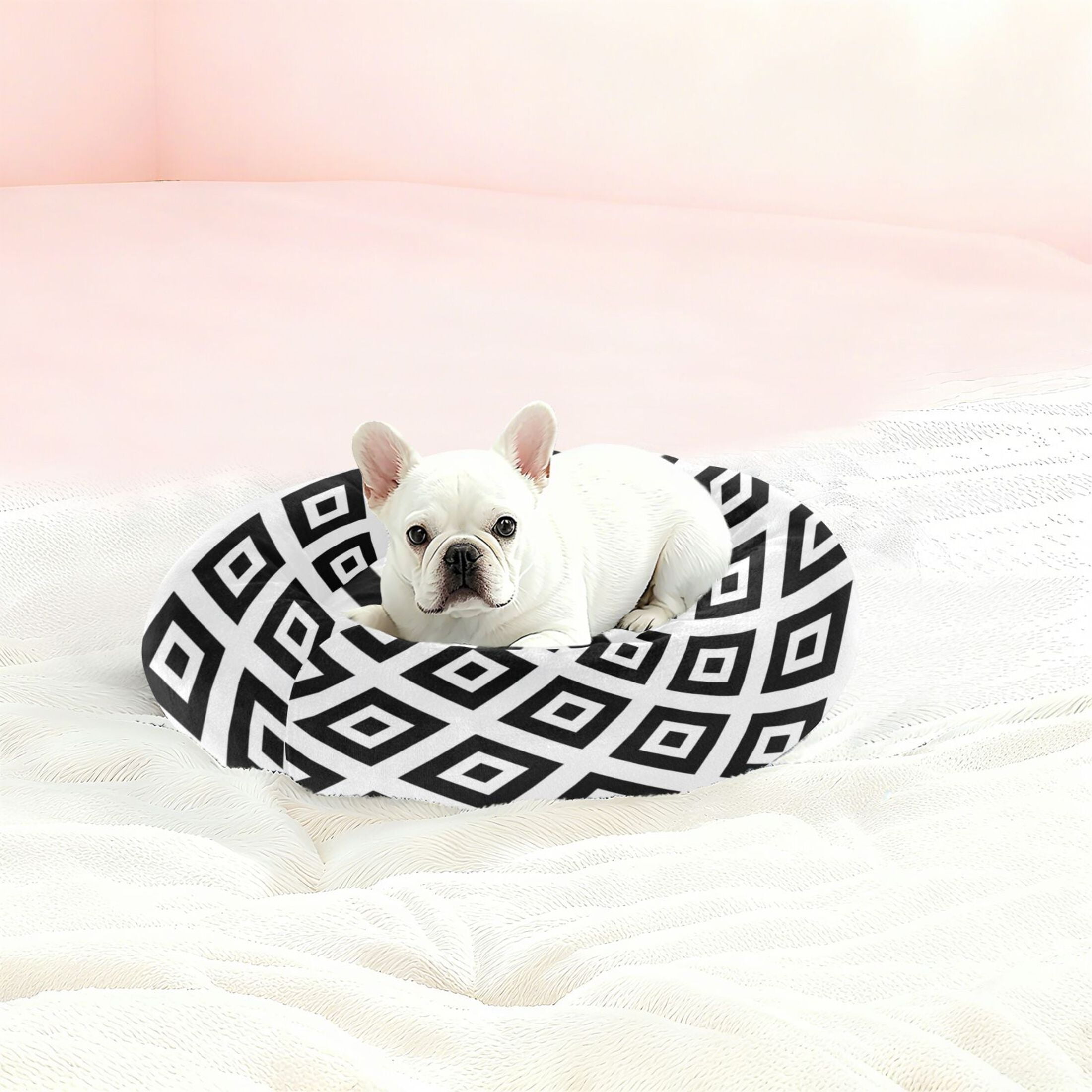 Iauyy Pet Couch Donut Cat Bed for Indoor Cats/Small Dogs Washable & Machine with Non-slip Bottom Calming Cat Furniture, Square Painted in Uniform Colors (XS)