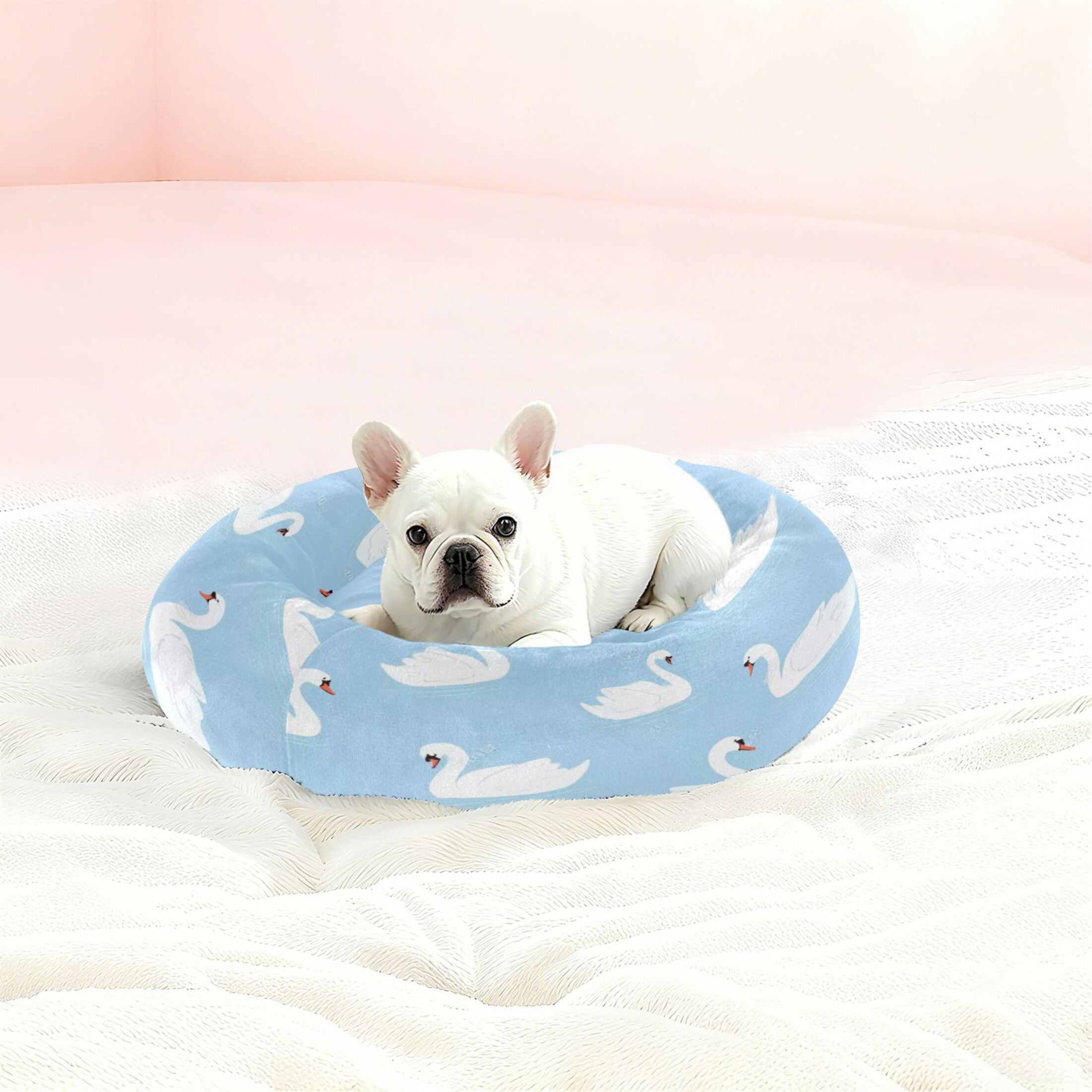 Iauyy Pet Couch Donut Cat Bed for Indoor Cats/Small Dogs Washable & Machine with Non-slip Bottom Calming Cat Furniture, A White Swan (M)