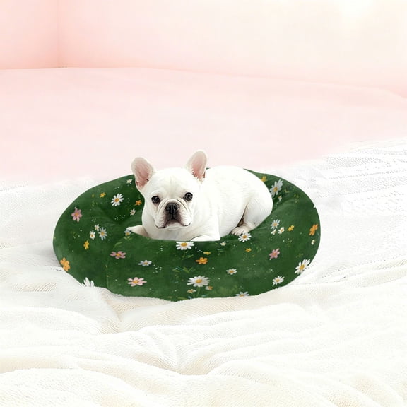 Iauyy Pet Couch Donut Cat Bed for Indoor Cats/Small Dogs Washable & Machine with Non-slip Bottom Calming Cat Furniture, All Kinds Of Daisies (M)