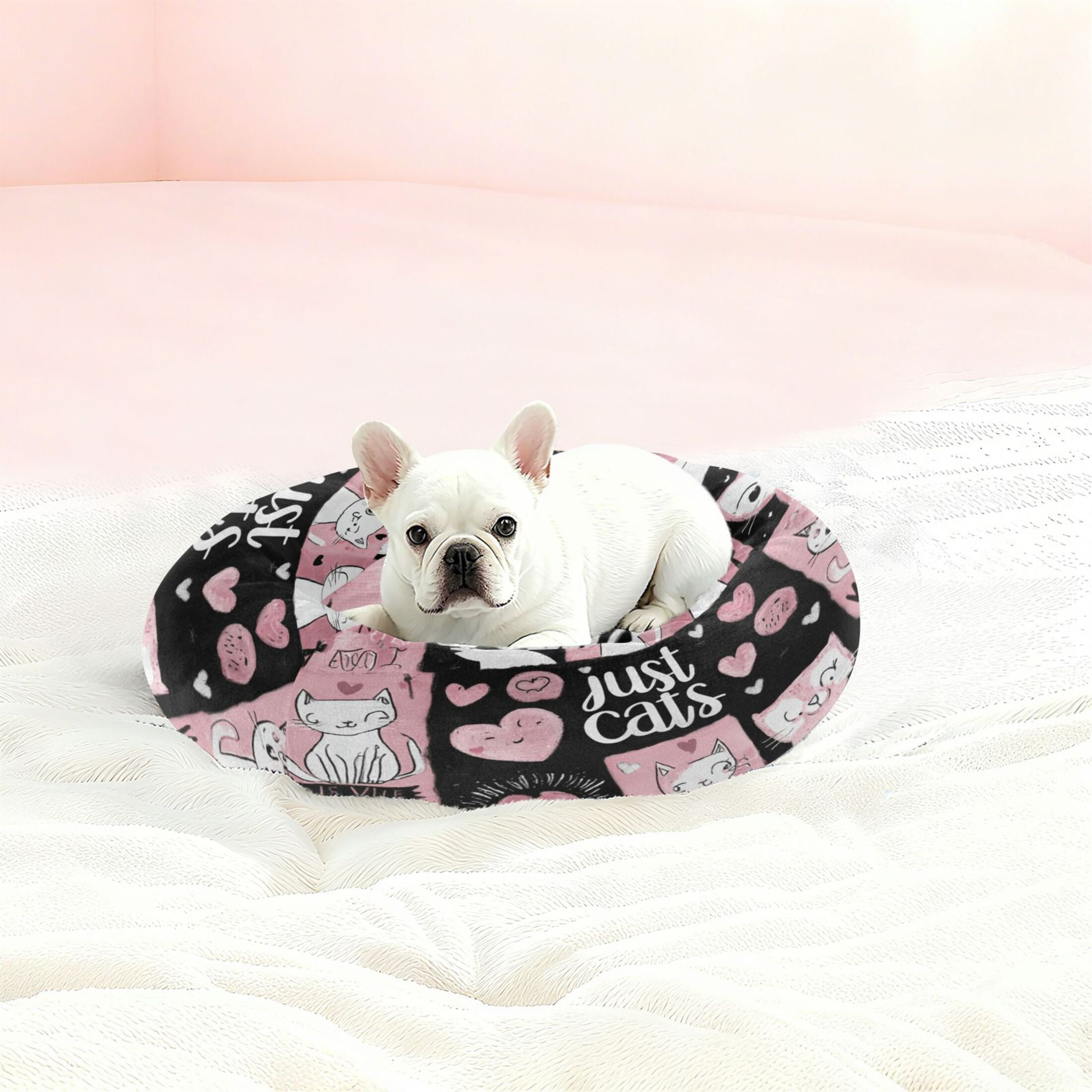 Iauyy Pet Couch Donut Cat Bed for Indoor Cats/Small Dogs Washable & Machine with Non-slip Bottom Calming Cat Furniture, All Kinds Of Kittens (M)