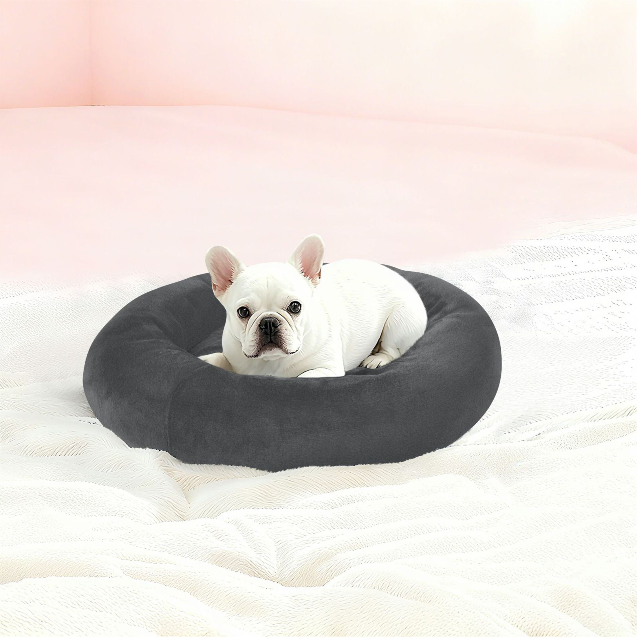 Iauyy Pet Couch Donut Cat Bed for Indoor Cats/Small Dogs Washable & Machine with Non-slip Bottom Calming Cat Furniture, Dark Gray Solid Color (M)
