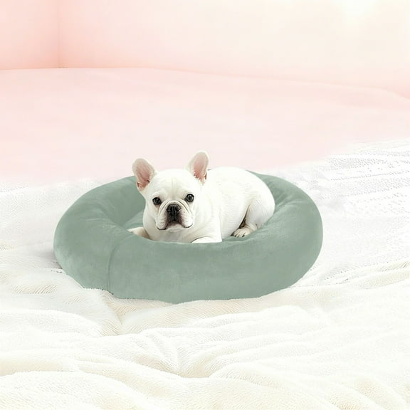 Iauyy Pet Couch Donut Cat Bed for Indoor Cats/Small Dogs Washable & Machine with Non-slip Bottom Calming Cat Furniture, Light Gray Background (XS)