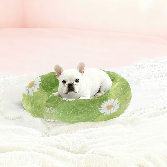 Iauyy Pet Couch Donut Cat Bed for Indoor Cats/Small Dogs Washable & Machine with Non-slip Bottom Calming Cat Furniture, Light Green Color Tone (XS)