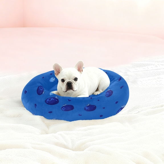 Iauyy Pet Couch Donut Cat Bed for Indoor Cats/Small Dogs Washable & Machine with Non-slip Bottom Calming Cat Furniture, Pomegranate Pattern (XS)
