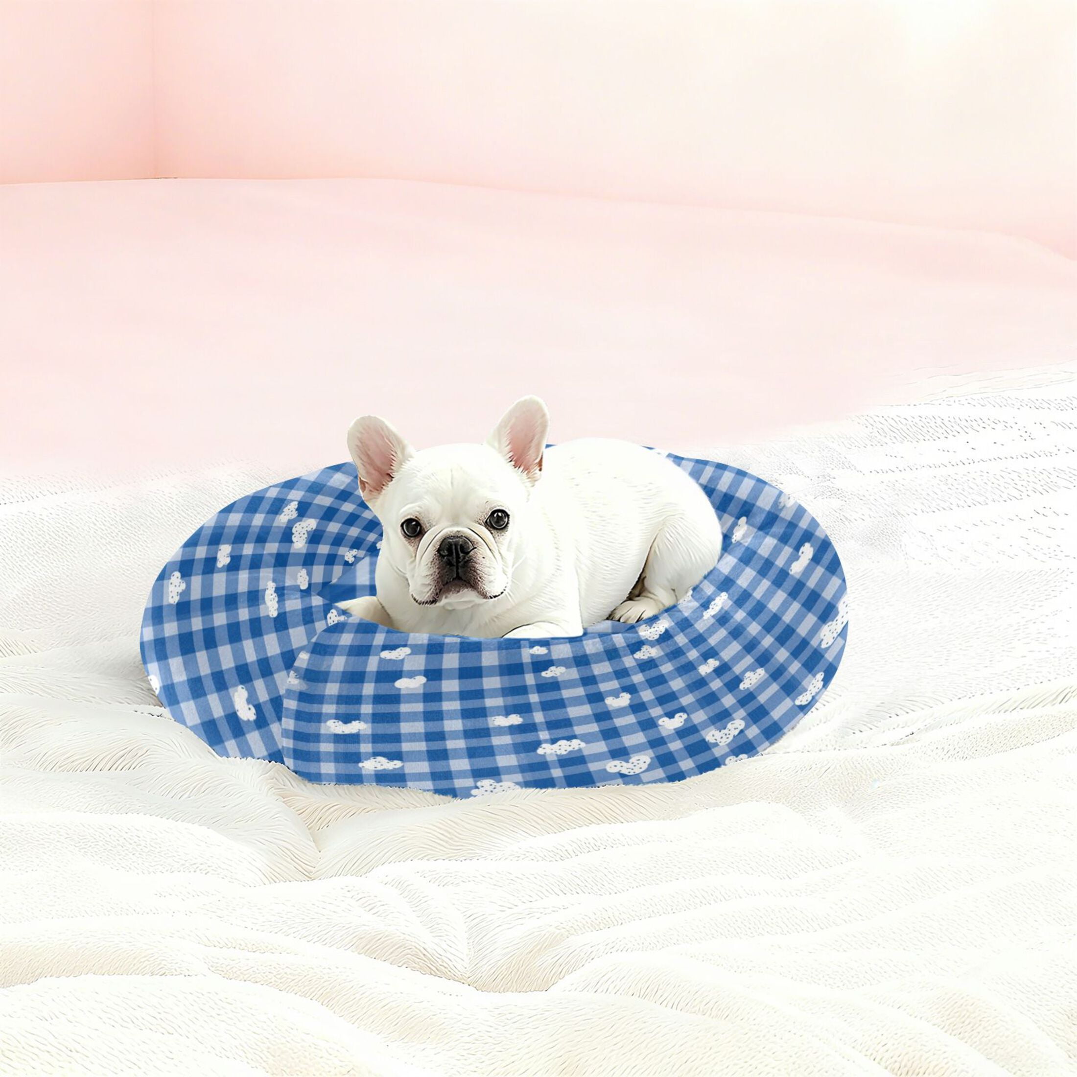 Iauyy Pet Couch Donut Cat Bed for Indoor Cats/Small Dogs Washable & Machine with Non-slip Bottom Calming Cat Furniture, The Ears Of A Mouse (M)