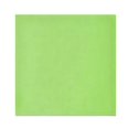 thumbnail image 1 of Iauyy Satin Napkins Set of 1- Green DIY Printing Decoration Cloth Napkin- Easy Care for Home/Party, 1 of 8