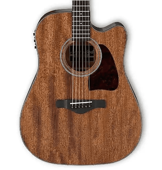 Ibanez Artwood Dreadnought Acoustic Electric Guitar (Open Pore Natural Finish)