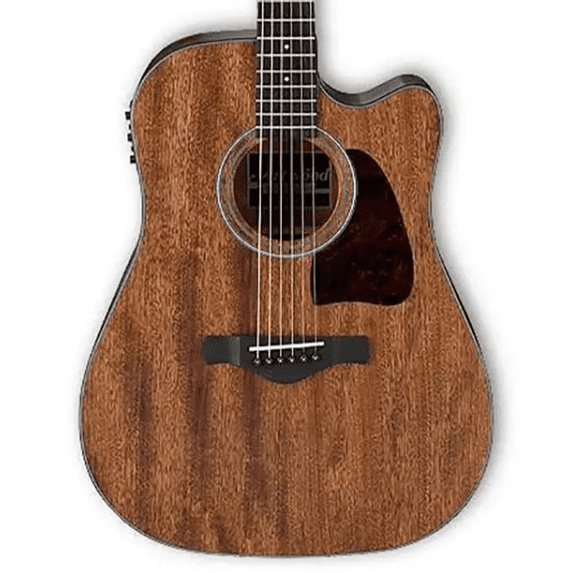 Ibanez Artwood Dreadnought Acoustic Electric Guitar (Open Pore Natural Finish)